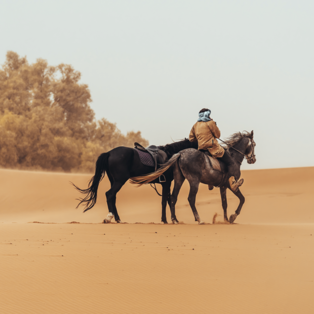 Dakhla